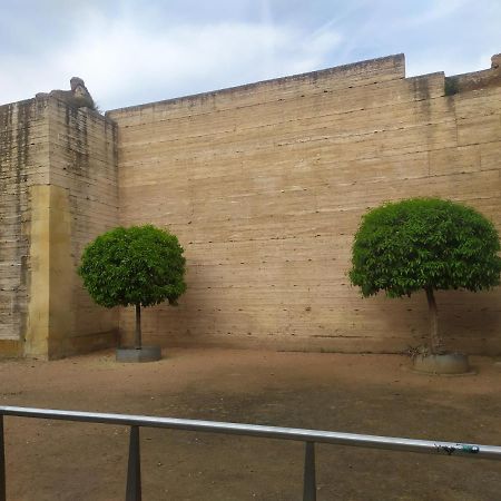 Los Patios De Córdoba Exteriör bild