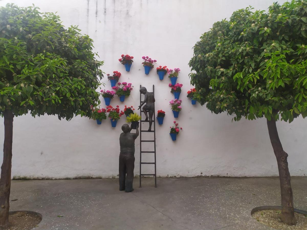 Los Patios De Córdoba Exteriör bild